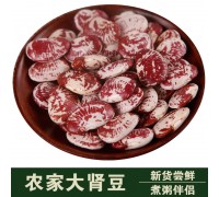 东北大肾豆1000g 荷包豆 农家大斑马豆花饭豆 腰豆 花扁豆 花芸豆